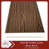 tam-nano-roy17 - ảnh nhỏ  1
