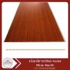 tam-nano-roy03 - ảnh nhỏ  1